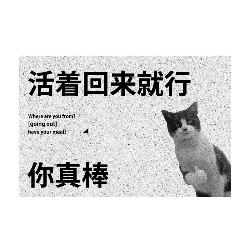 活着回来就行丝圈地垫进门地垫防滑脚垫入户门口脚垫客厅家用pvc