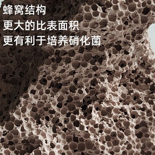 海水鱼缸 造景石 人造石 吸水石 珊瑚基座礁石 假山石头 草缸造景