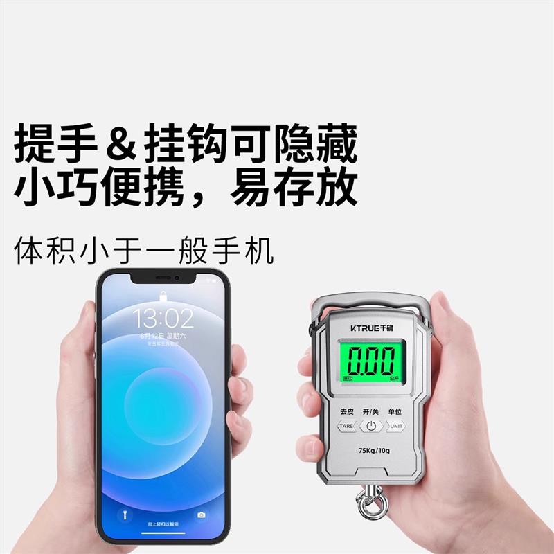 精准电子手提秤便携式勾称高精度家用小型买菜专用迷你快递挂钩称