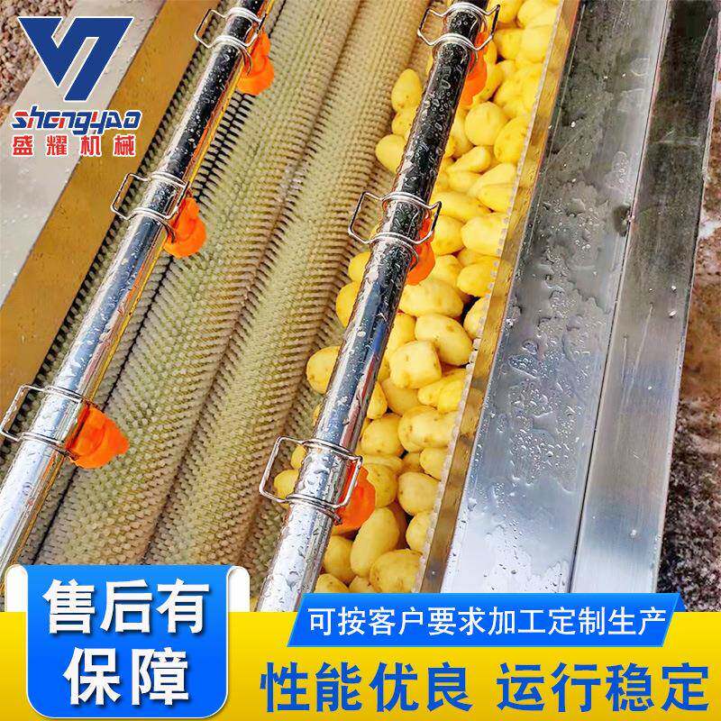 供应去CWT杂辊机清洗毛 连续式姜大红薯去皮清洗机 食品厂果蔬清