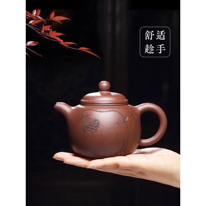 宜兴紫砂壶纯手工刻绘家用紫砂茶具原矿紫泥泡茶壶清莲生香匏尊壶