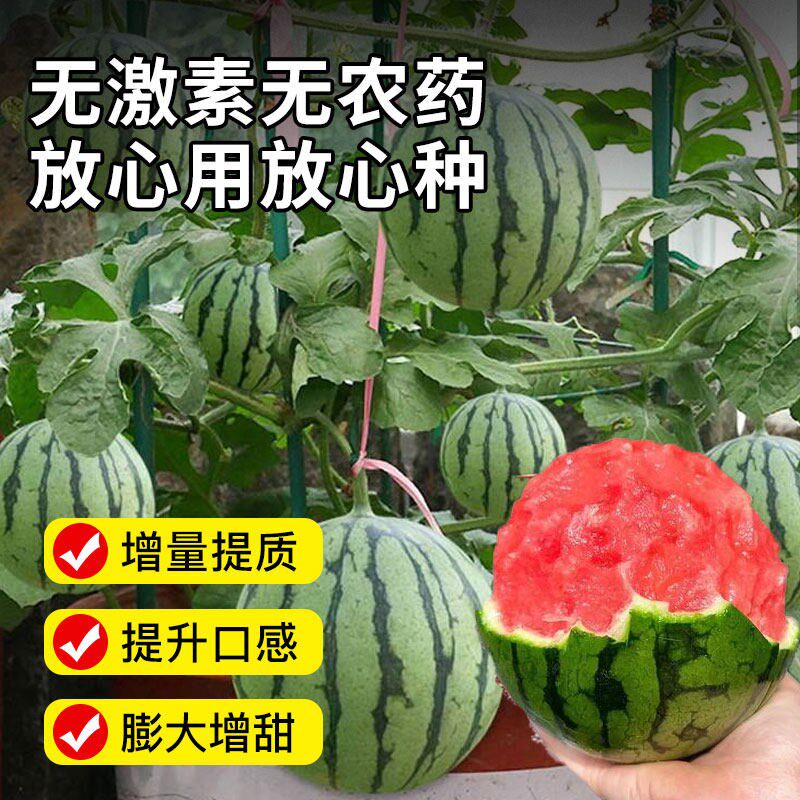 种西瓜育苗专用营养土基质肥培养土西瓜苗土壤专用肥料泥土种植土