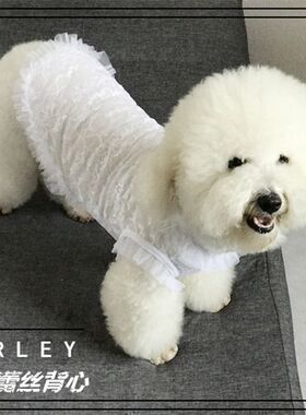 查利家狗狗蕾丝公主裙子泰迪衣服夏装贵宾犬背心T恤小狗狗幼犬夏