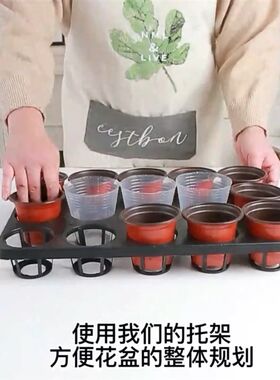 12孔托架蝴蝶兰花盆托架托盘育苗盆底托盘双色盆托架9孔加厚托架