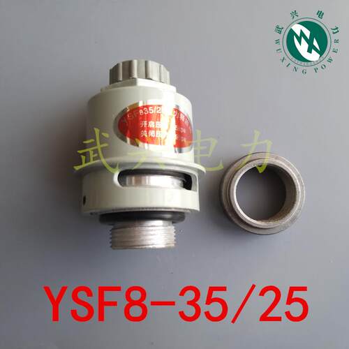 变压器压力释放阀YSF8-35/25 螺纹连接保护装置 泄压保护设备