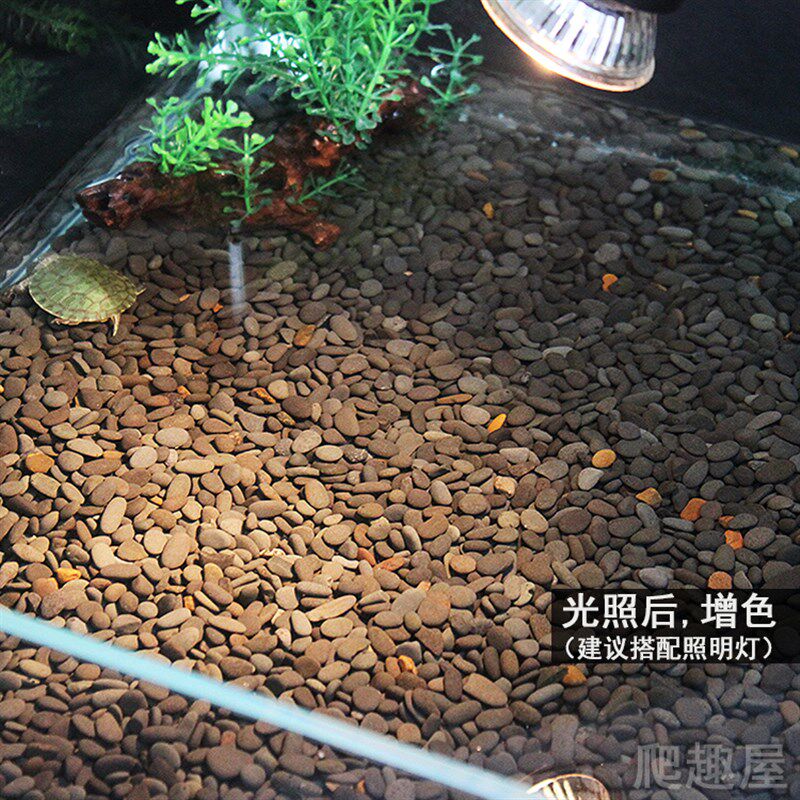 乌龟缸底砂小石子鱼缸造景布景底石头垫材黑色天然底沙水族箱沙石