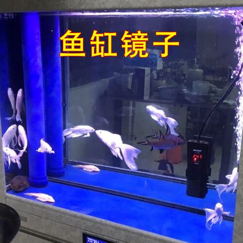 软镜子贴墙自粘鱼缸水族箱鱼照镜子斗鱼可弯曲裁剪增强灯光反光