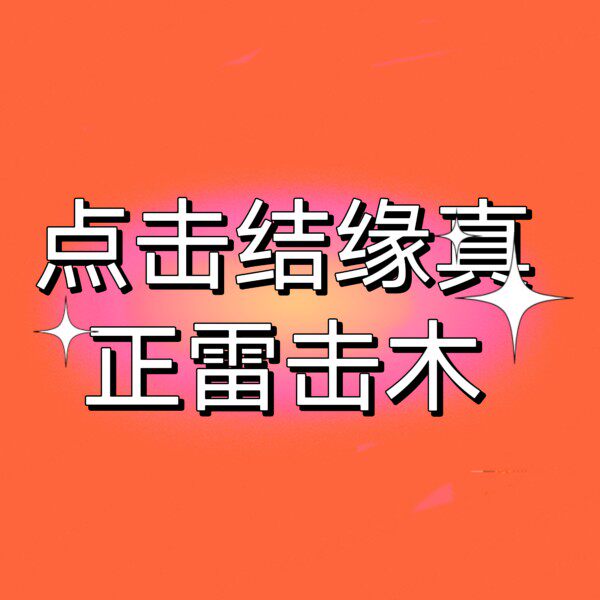 天然雷击木乾坤圈乾坤阴阳圈道家法器饰品真雷击枣木桃木吊坠手工