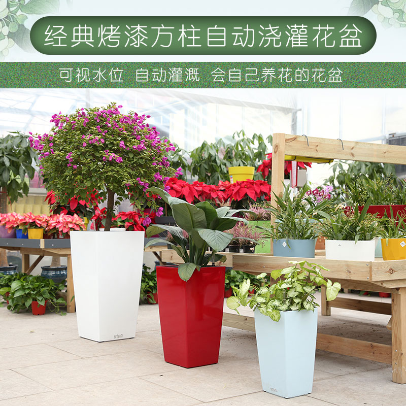 植谜烤漆花盆塑料创意个性方形立柱高筒懒人吸水别墅客厅酒店欧式