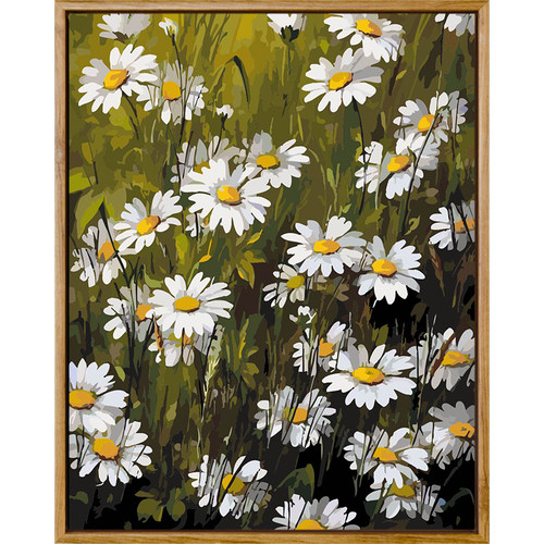 画画diy数字油画客厅装饰花卉雏菊成人填色手工画手绘解压油彩画