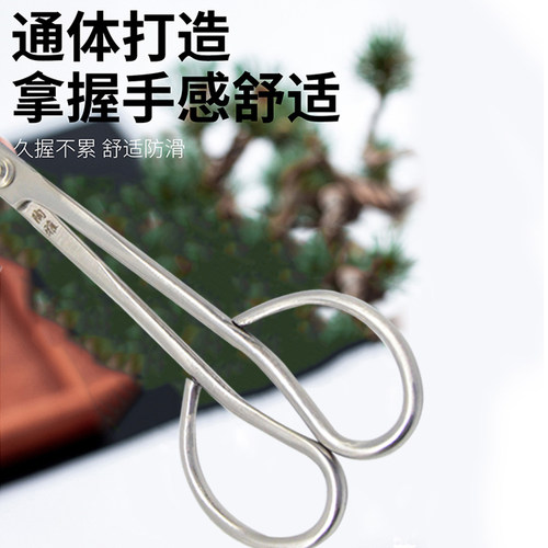 陶雅剪刀修枝剪盆景修剪造型盆栽不锈钢叶芽剪树枝家居园艺工具