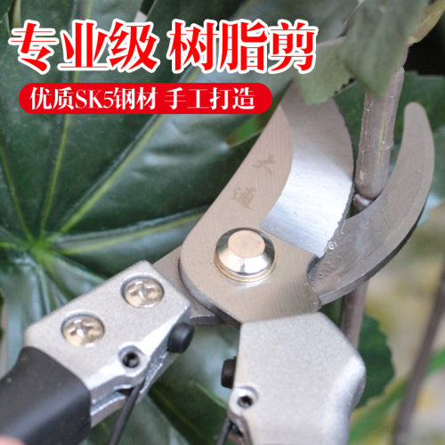 修枝剪 园艺剪 树枝剪 园林剪刀 果树剪