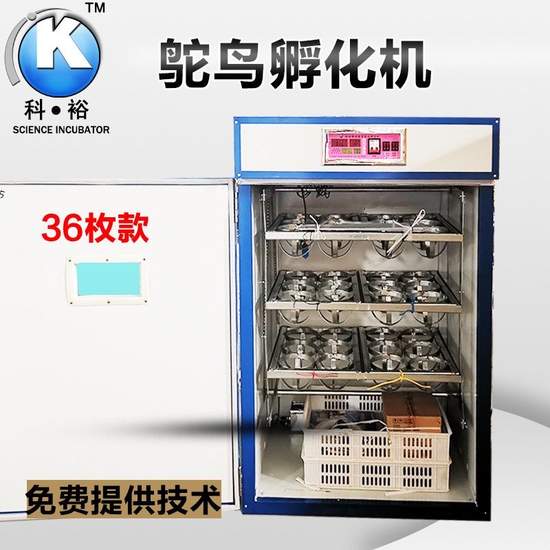 科裕鸵鸟孵化机全自动家用孵化器鸵鸟蛋专用智能卵化器