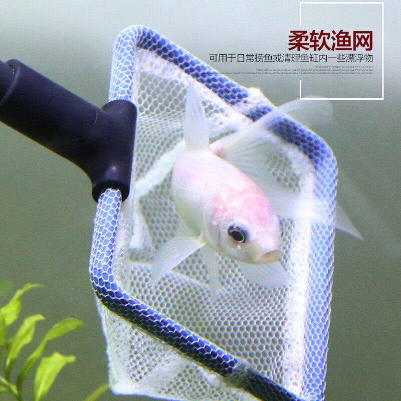 森森鱼缸清洁套装五合一清洗工具鱼捞网刮藻刀水草夹鱼缸刷玻璃擦