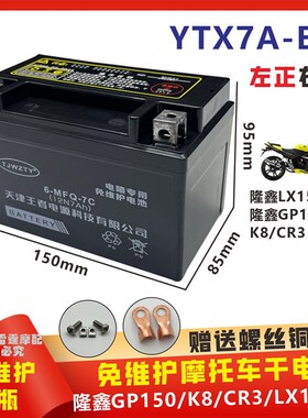 适用隆鑫GP150/K8/CR3/LX150-56劲隆领跑摩托车电瓶YTX7A-BS电池