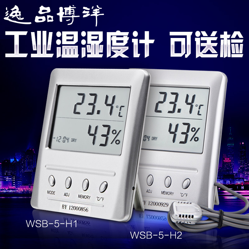 工业温度计高精度数显室内湿温湿度计可带探头wsb-5-h1/2