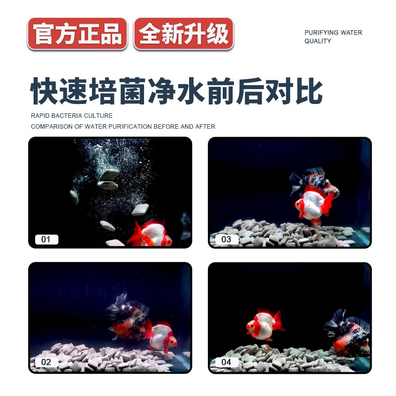 马印鱼缸陶瓷环滤材鱼缸细菌屋过滤材料陨元小饼干净水培菌过滤石