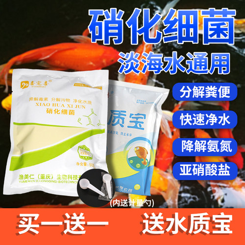 硝化细菌消化菌鱼池塘水产养殖水质净水剂水族鱼缸活菌液稳定水质