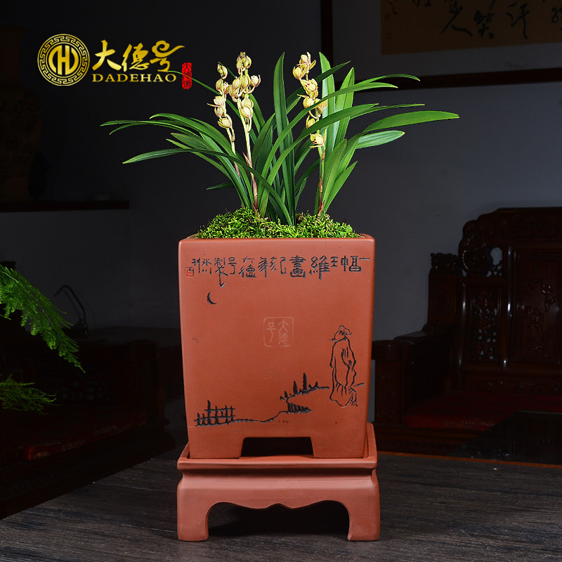 宜兴紫砂花盆四方刻绘带托盘盆景盆悬崖式君子兰兰花蓝草专用花盆