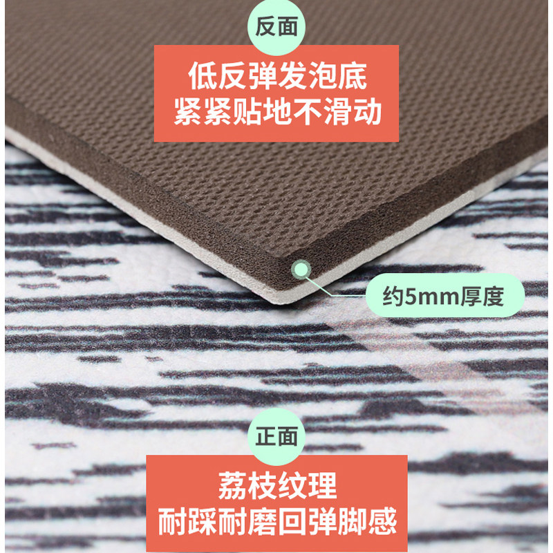 进门地垫入户门高级感网红地毯耐脏免擦洗pvc玄关换鞋垫蹭土门垫