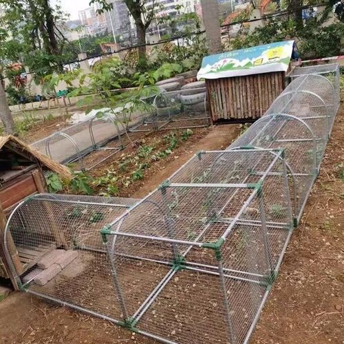 鸡棚鸡笼跑道隧道养鸡兔笼家禽户外防雨笼子搭建家用简易鸡舍养殖