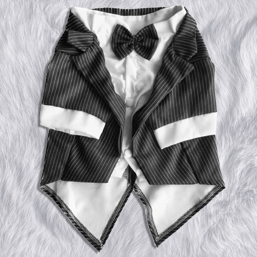 狗狗婚纱礼服春夏宠物服饰宠物西服燕尾服泰迪小型狗礼服狗狗服装