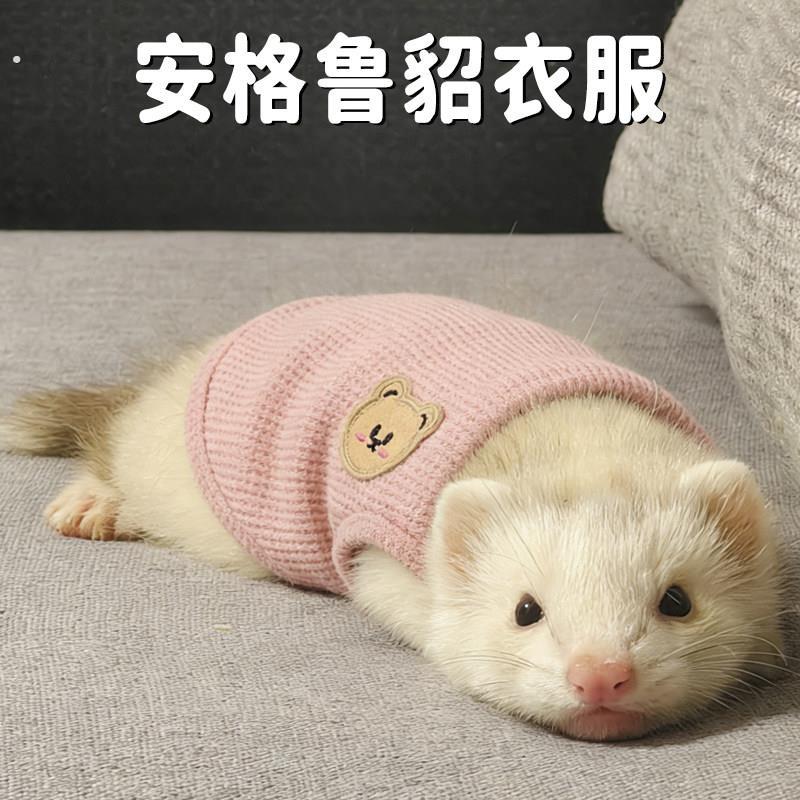 安格鲁貂衣服专用春夏穿的小宠超小号透气雪貂衣服饰宠物用品大全