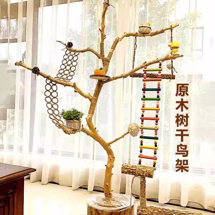 去皮乾树枝原木杈天然站架虎皮鹦鹉站棍站杆磨爪棒小鸟笼配件图片