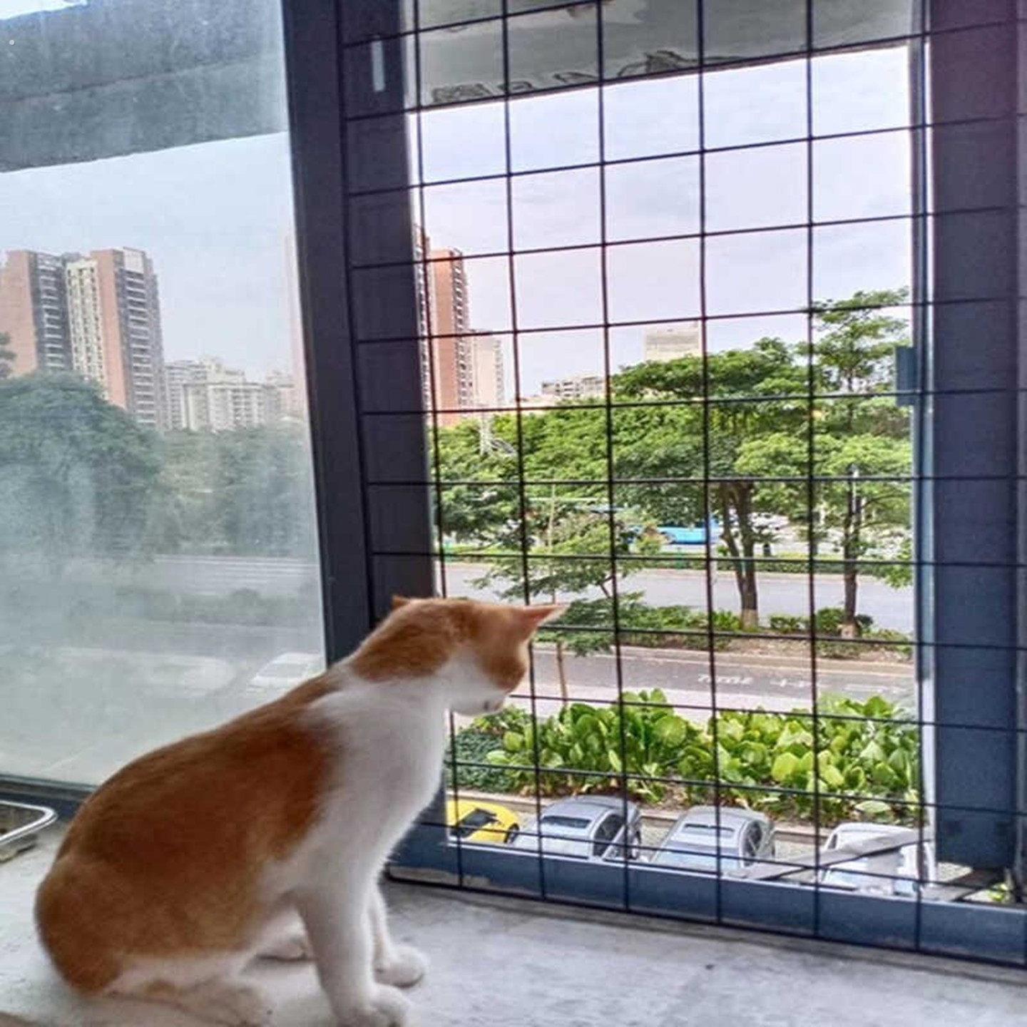 黑色加粗网片网格防猫坠落脱逃铁网护栏货架格子网展会展示架悬挂