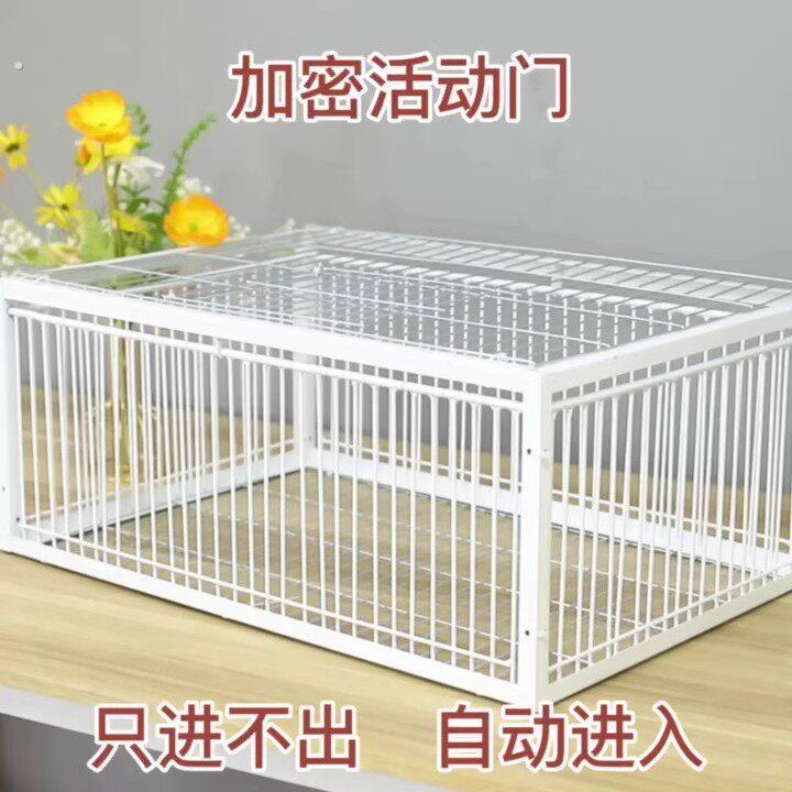 鸽子撞门笼鸽子笼加密天落笼撞门笼鸽笼鸽子笼收鸽笼只进不出