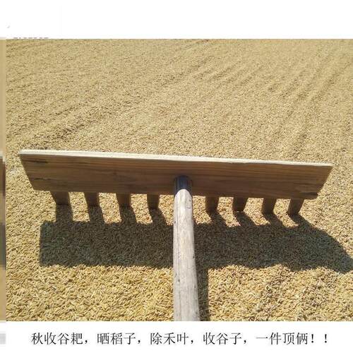 七齿晒谷耙子粮食耙晒谷子实木加厚晒谷工具麦子稻谷老式木耙农用