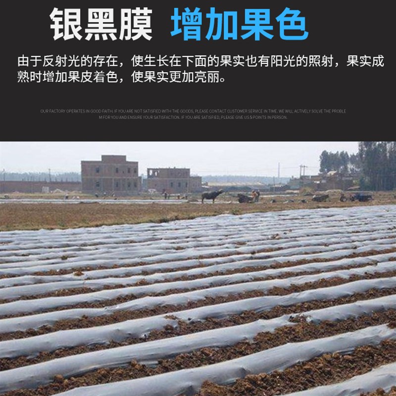 农用地膜黑色加厚银黑双色果园反光膜塑料大棚种植除草防虫膜新料