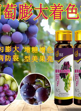 葡萄膨大着色剂拉长增甜膨大素夏黑茉莉香巨峰红提子专用叶面肥料