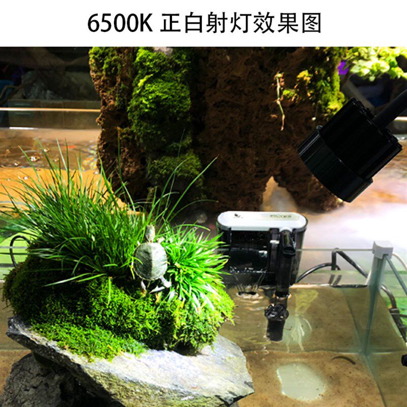 鱼缸射灯 原生南美鼠鱼异形造景水族射灯水草缸乌龟三湖慈鲷LED灯
