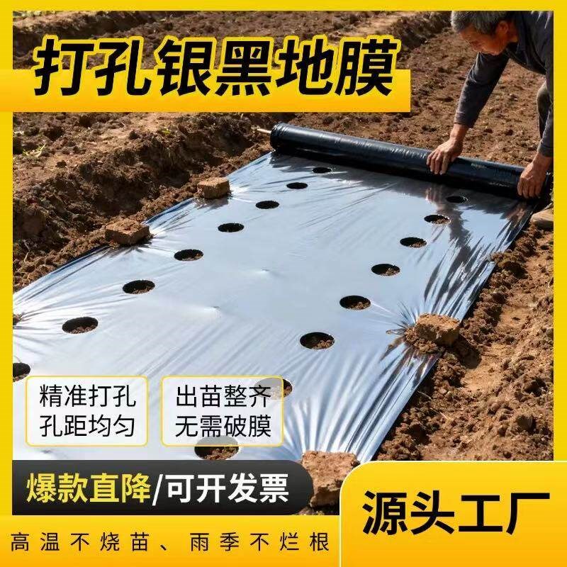 农用银黑双色打孔蔬菜地膜银黑地膜草莓辣椒西红柿各种孔洞