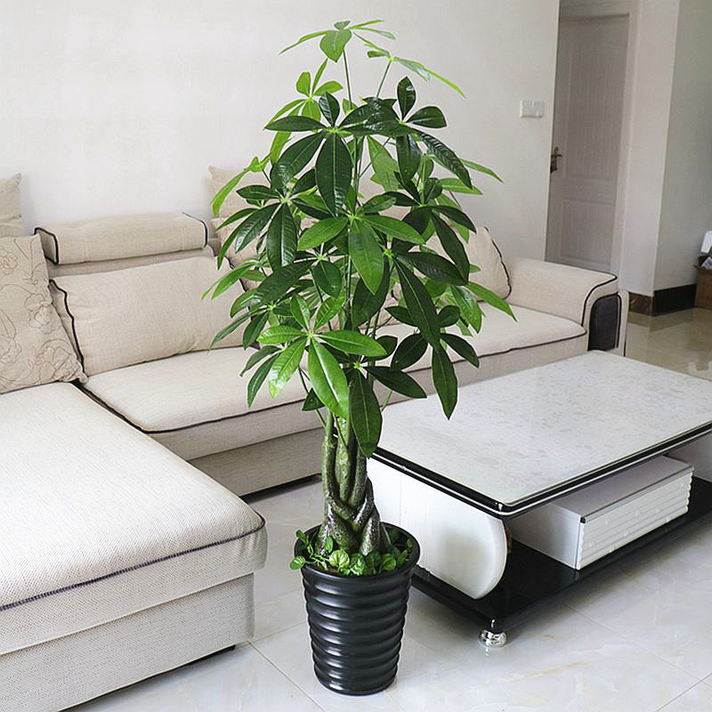 仿真发财树植物假花客厅假树大型落地花艺塑料花盆景盆栽装饰包邮