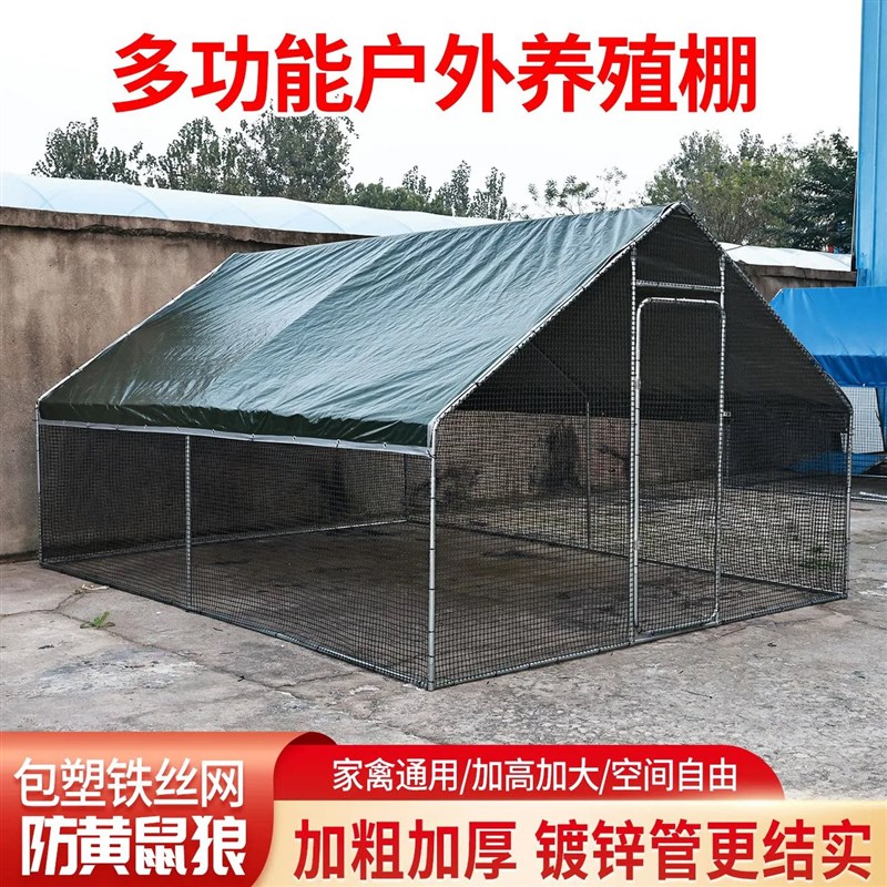 鸡棚子室外组装鸽笼专用棚大型鸡窝农场养鸡养殖户带顶钢管简易棚