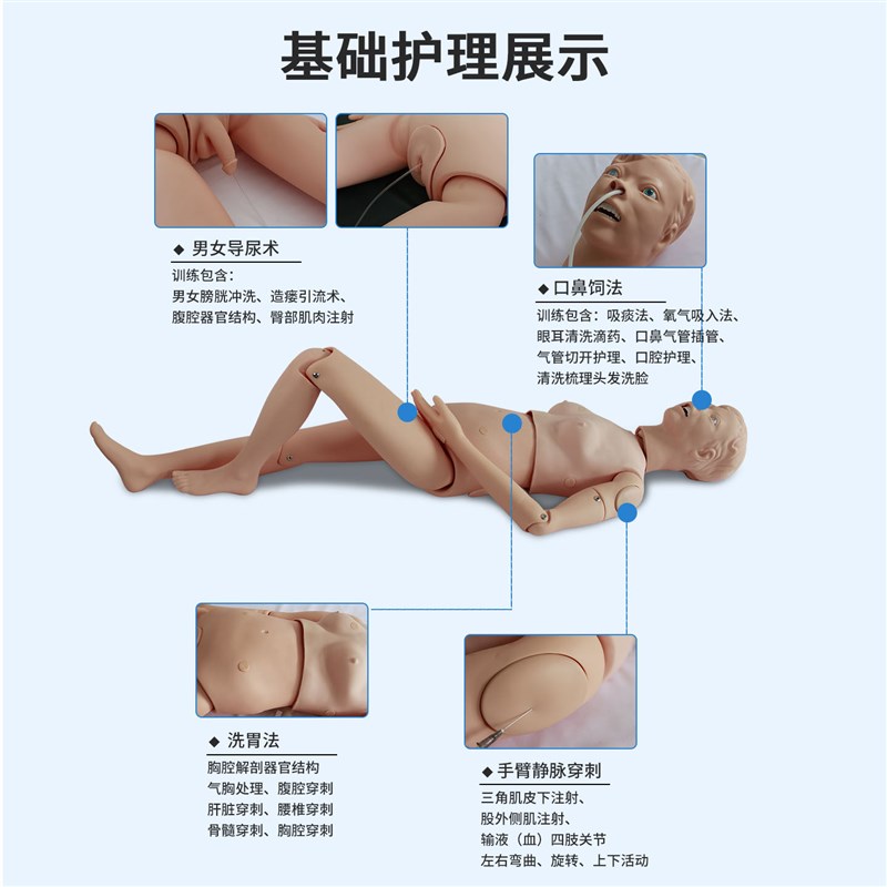 养老护理训练模拟人组合式多功能男女导尿插假人心肺覆苏模型