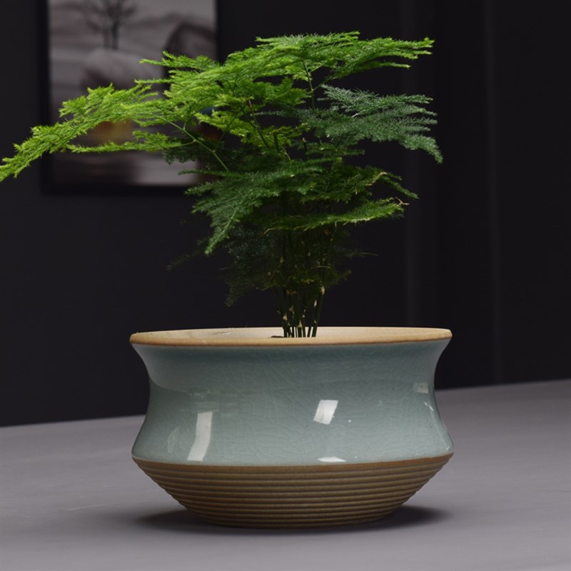 陶瓷花盆蝴蝶兰花盆大口径青瓷哥窑桌面文竹绿植专用盆发财树盆景