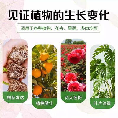 多肉专用营养土多肉土颗粒透气疏松泥炭种植土壤植物铺面肥料花土