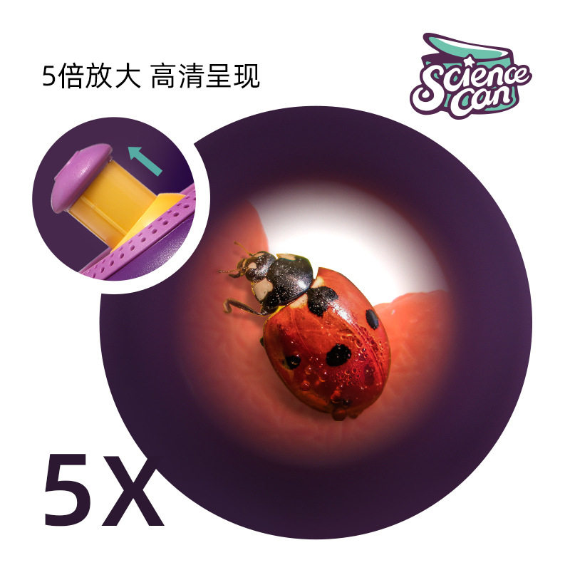 小鱼缸儿童创意小型桌面迷你塑料小金鱼小宠物活物饲养观察乌龟缸
