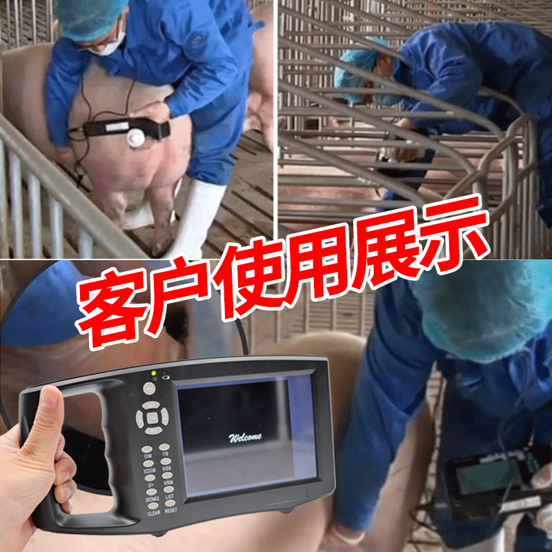 兽用B超机便携式测孕仪 高清动物B超适用于猪牛羊 宠物超声波检测