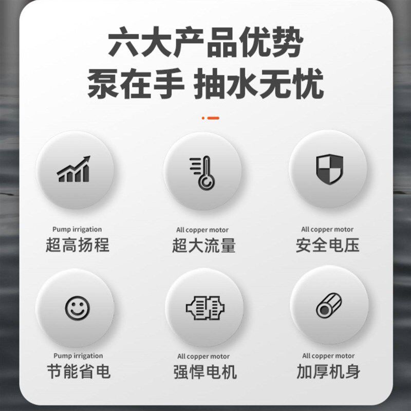 48v60v电动车抽水泵灌溉农用电瓶车小型直流潜水泵72V浇菜抽水机