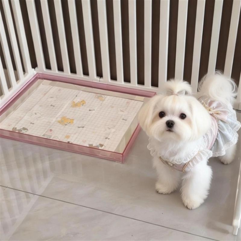 马尔济斯厕所小型犬专用厕所亚克力狗厕所方便拆洗狗厕所小狗厕所