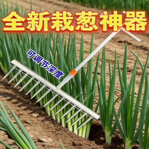 栽葱神器葱种植移栽移苗器洋葱栽苗器自动打孔种菜工具种葱专用