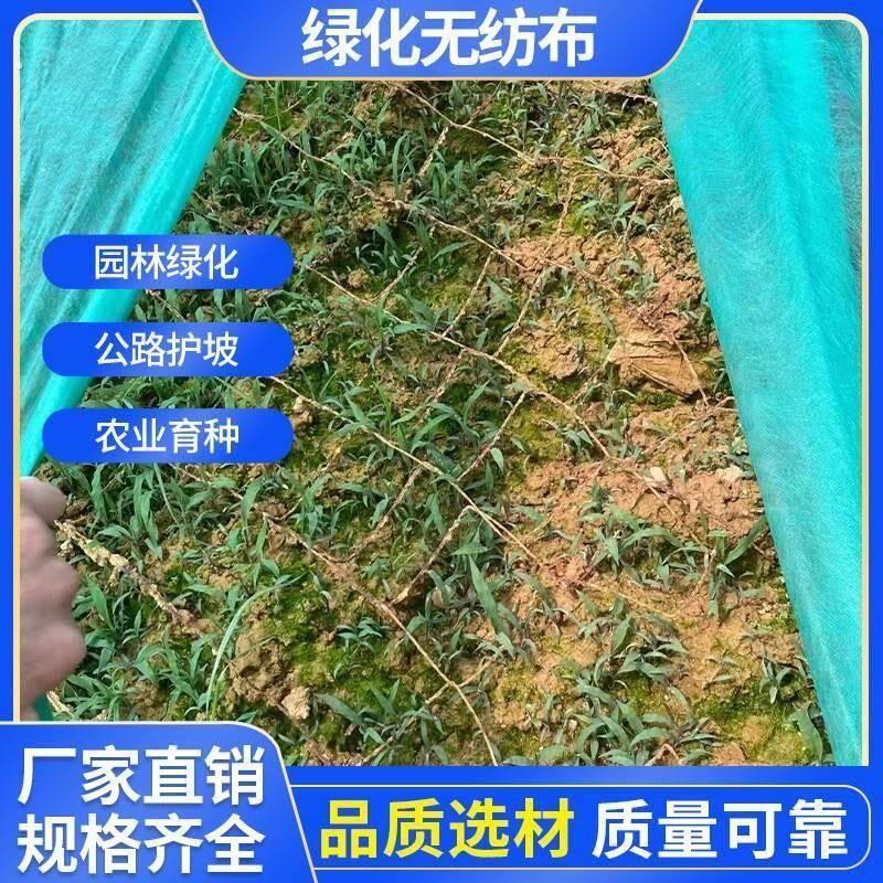 工地绿化网无纺布种植草籽覆盖膜园林绿化绿色透气膜土工布工程布