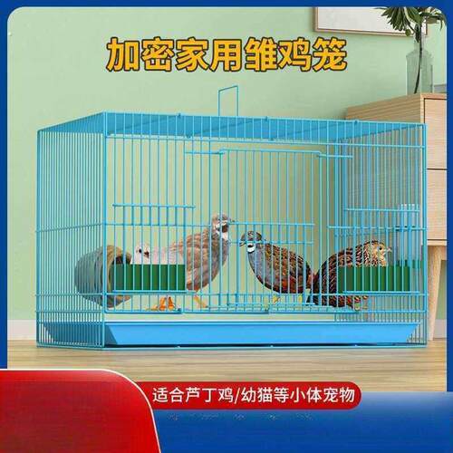 芦丁鸡专用养殖笼子家用加密大号芦丁鸡铁丝笼小鸡小鸭子鹌鹑鸟笼