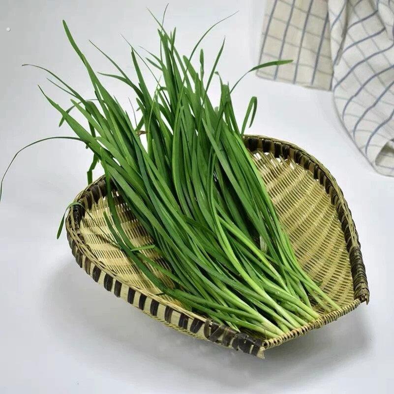 纯手工筲箕竹编烧箕商用餐饮店沥米饭盛放竹子编织竹制品厨房糯米