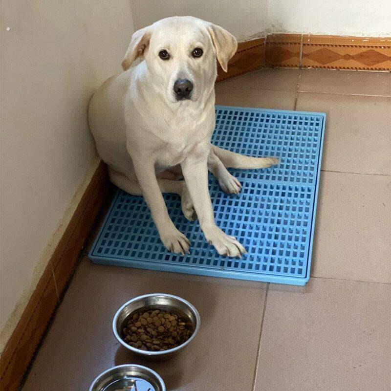 狗厕所大型训犬师推荐小型犬防踩屎猫控砂家用狗尿便盆阿拉斯加