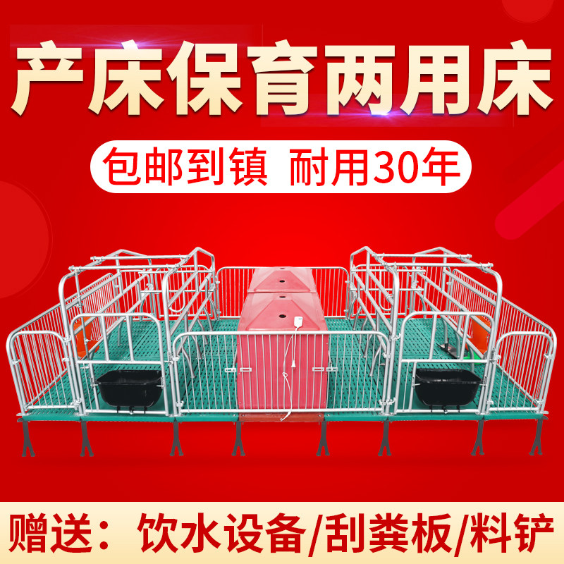 母猪产床热镀2.5单双体猪产床仔猪分娩床定限位栏保育床养殖设备